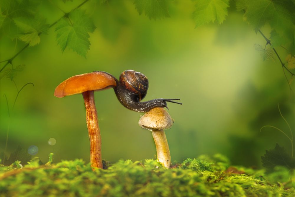 На двух стульях .