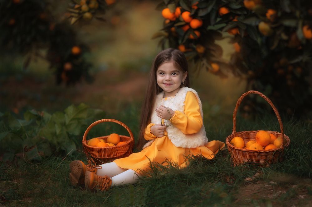 мандариновый сад