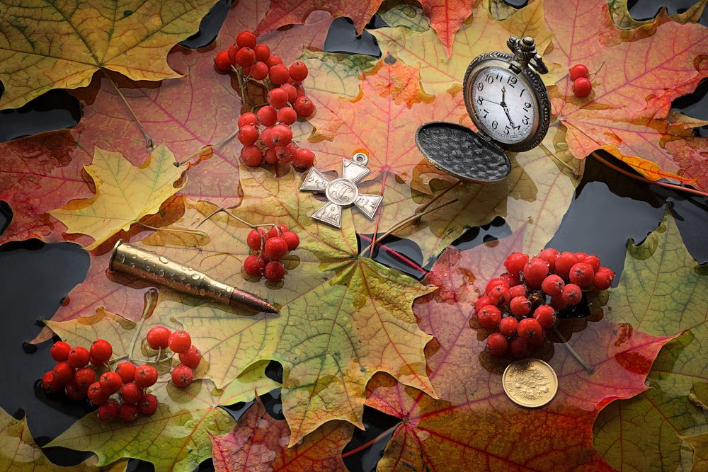 В листопаде времени