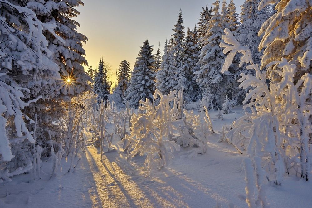 Пробуждение