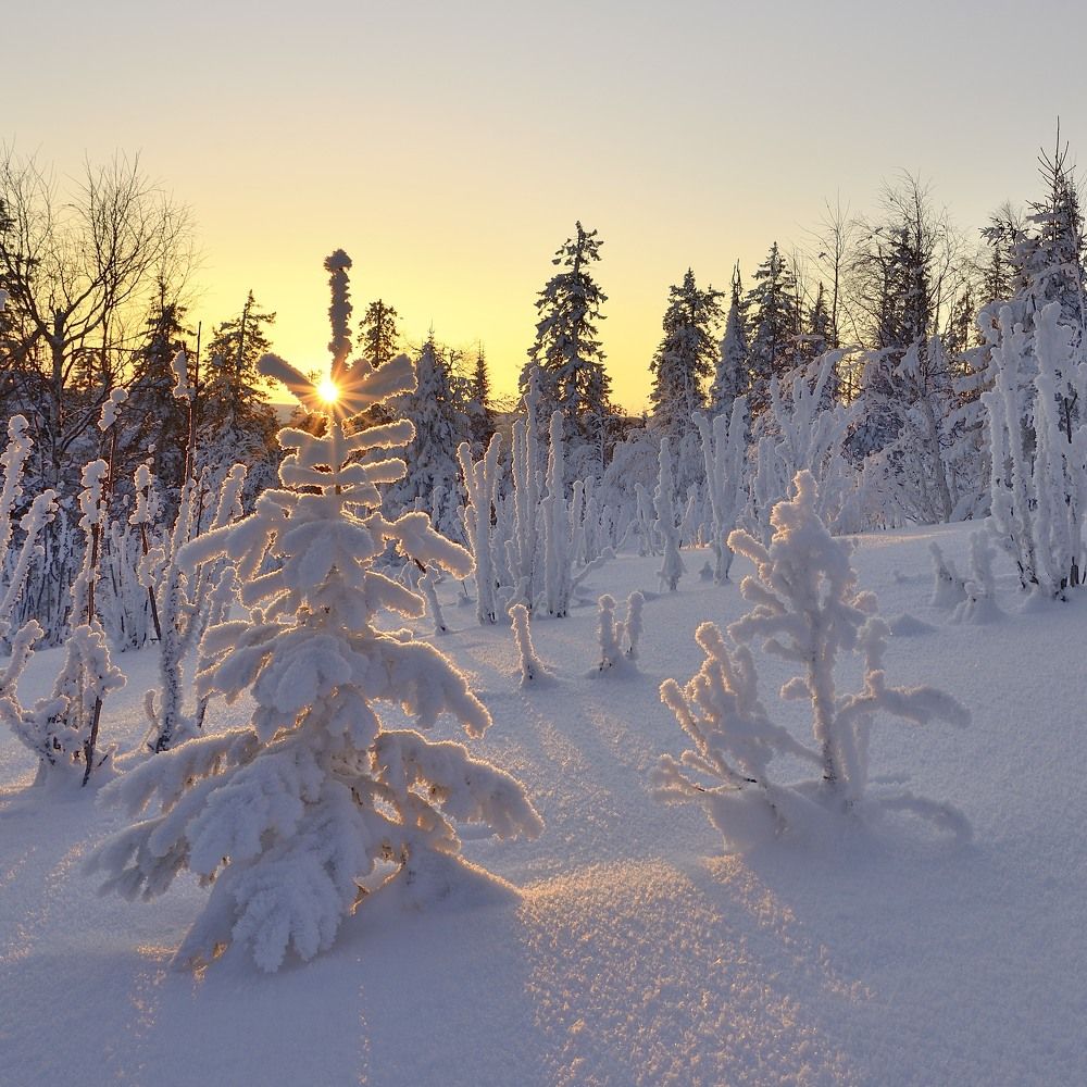 Photograph by Павел Фёдоров