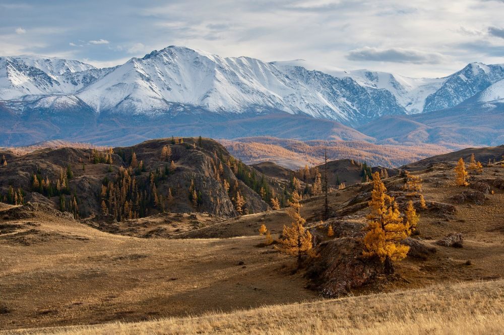 Алтайская осень - Курай