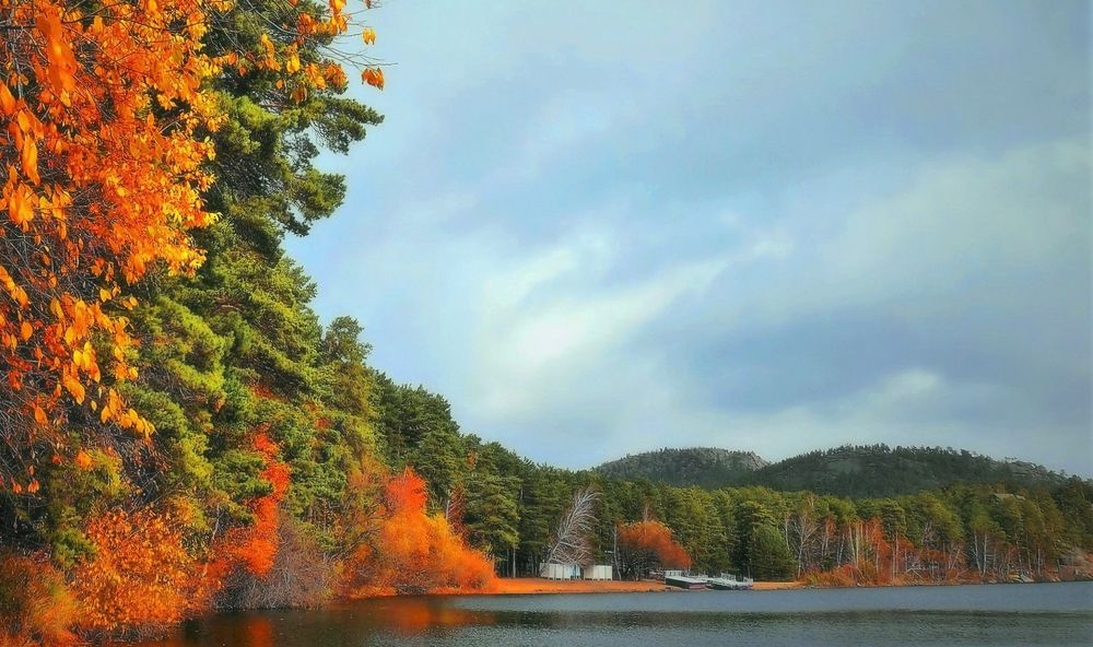 Боровое.  Осень