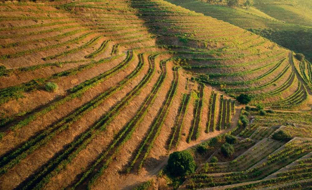 Фотография автора Андрей [Seencleyr] Чуяшенко