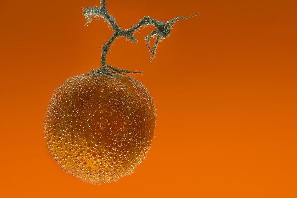 Солнечный помидор