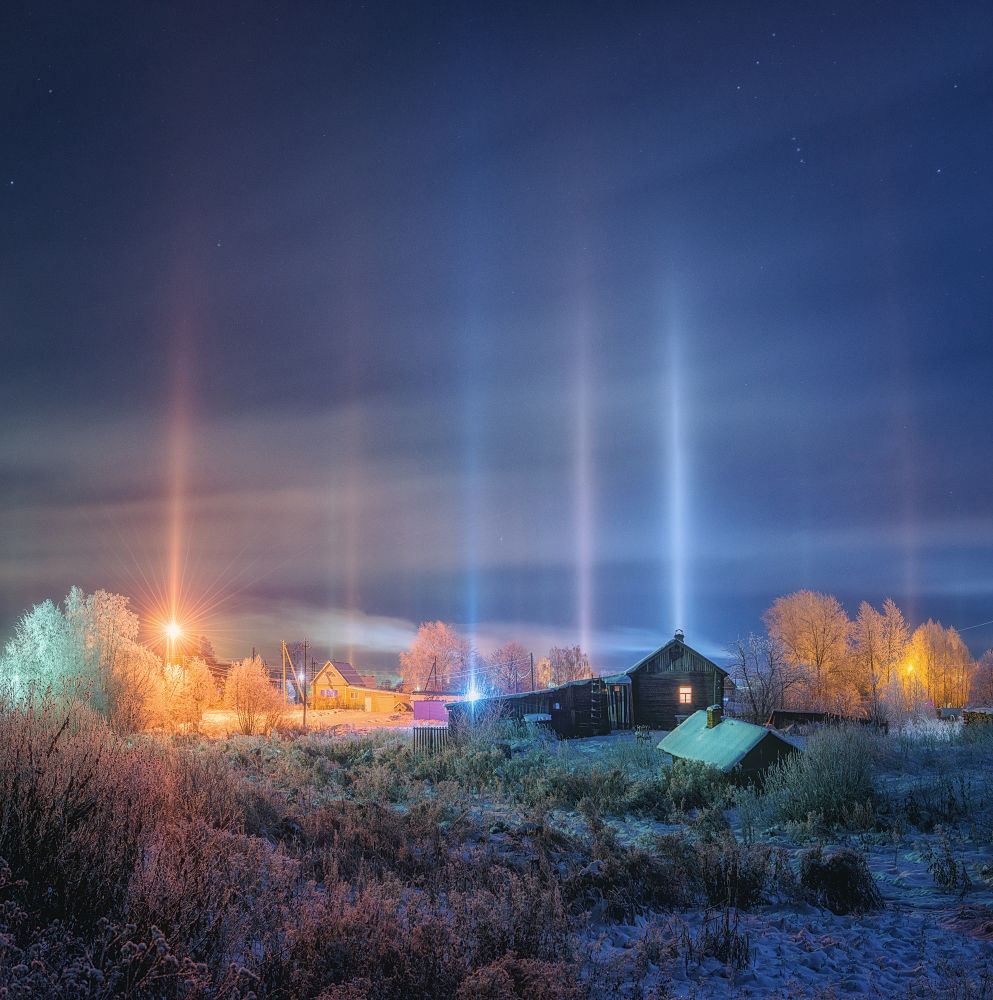 Световой лес