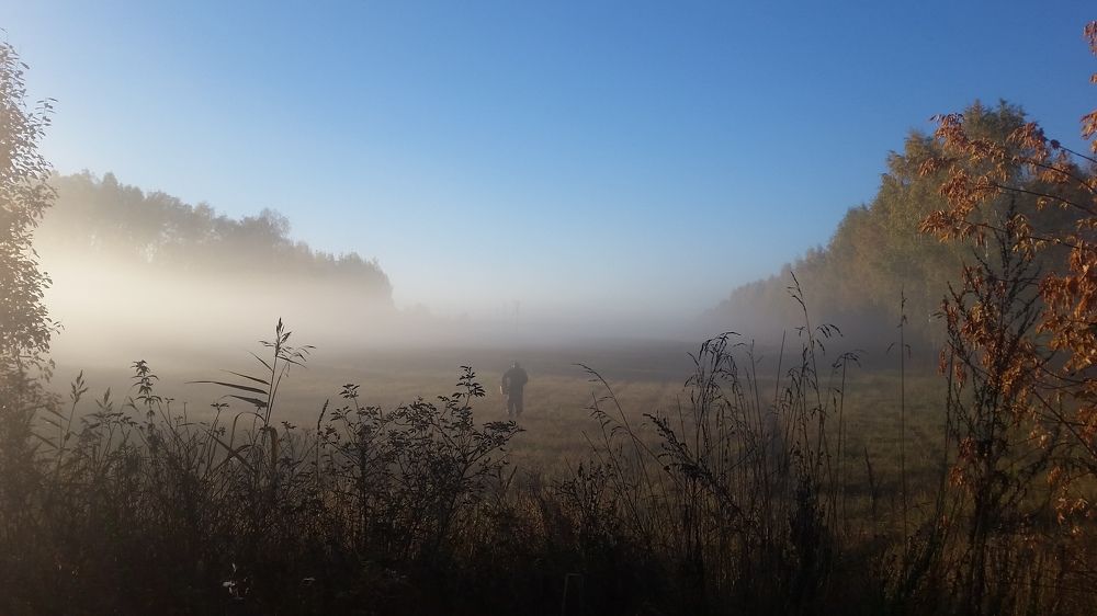 Осенний туман