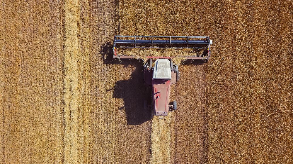 Уборка урожая