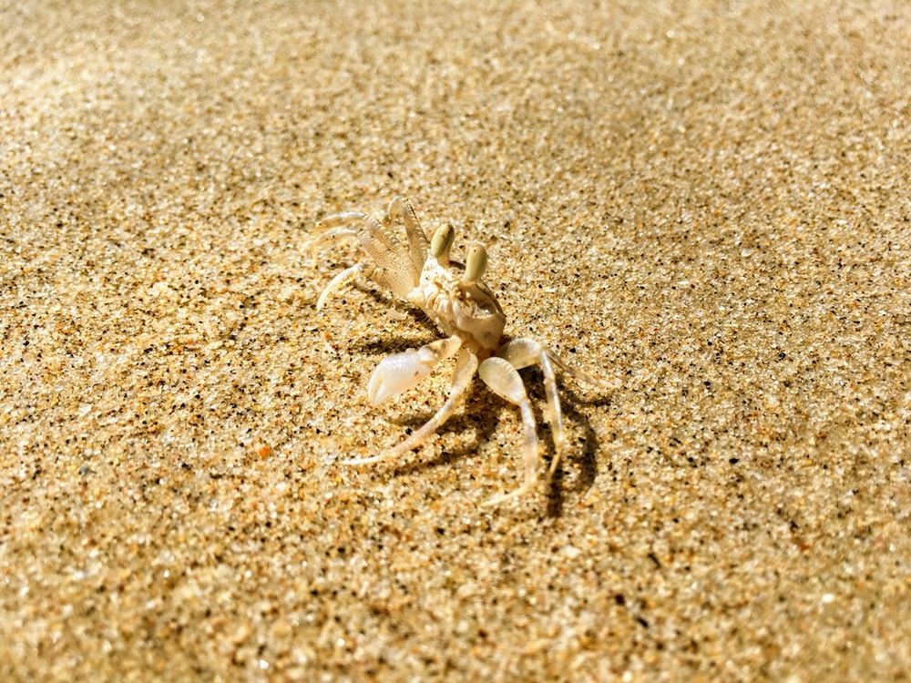 Terengganu, Malaysia