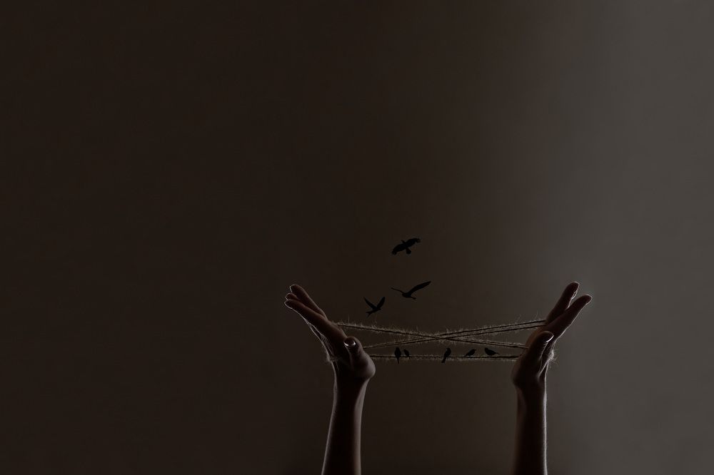 Photograph by Анна Мосс