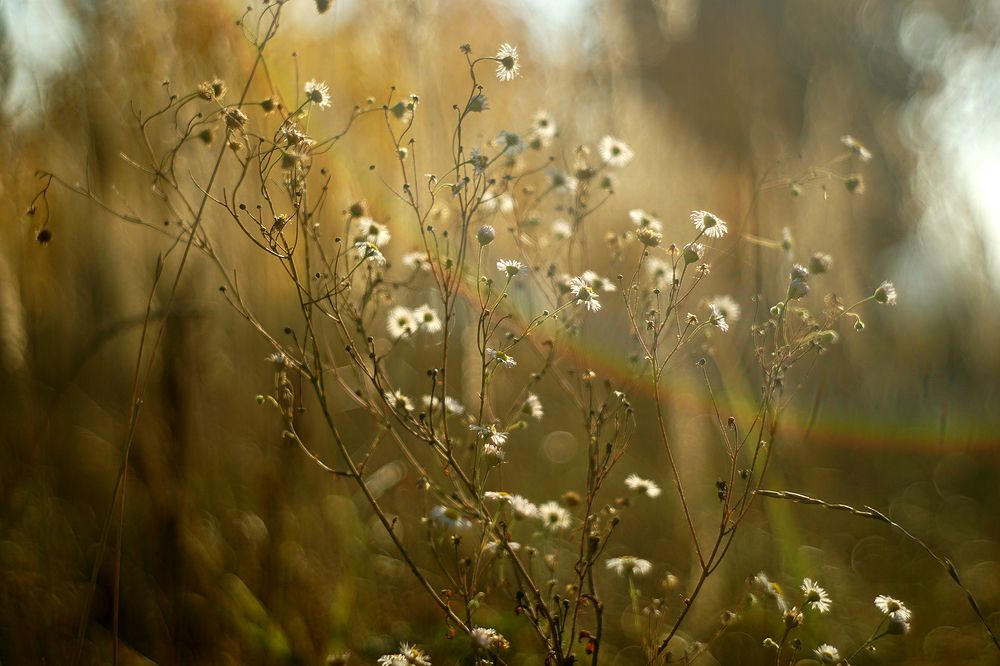 Photograph by Dzianis Mizhui