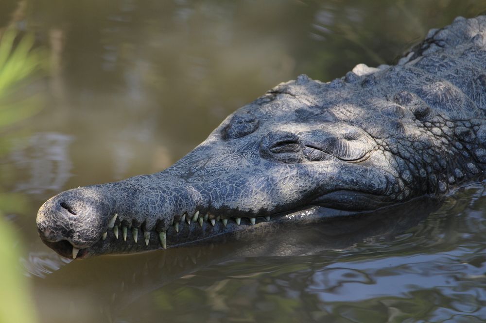 Un silence dangereux