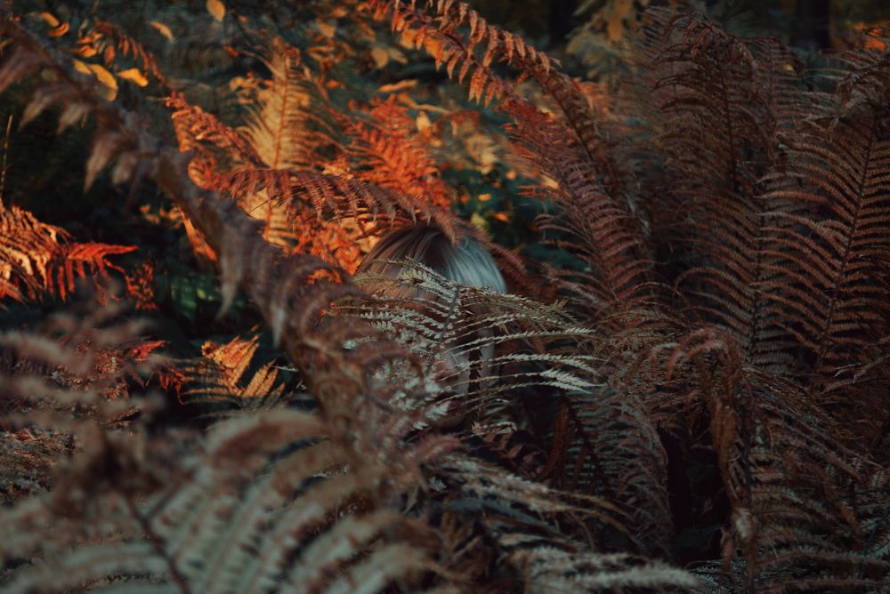 Тайное место