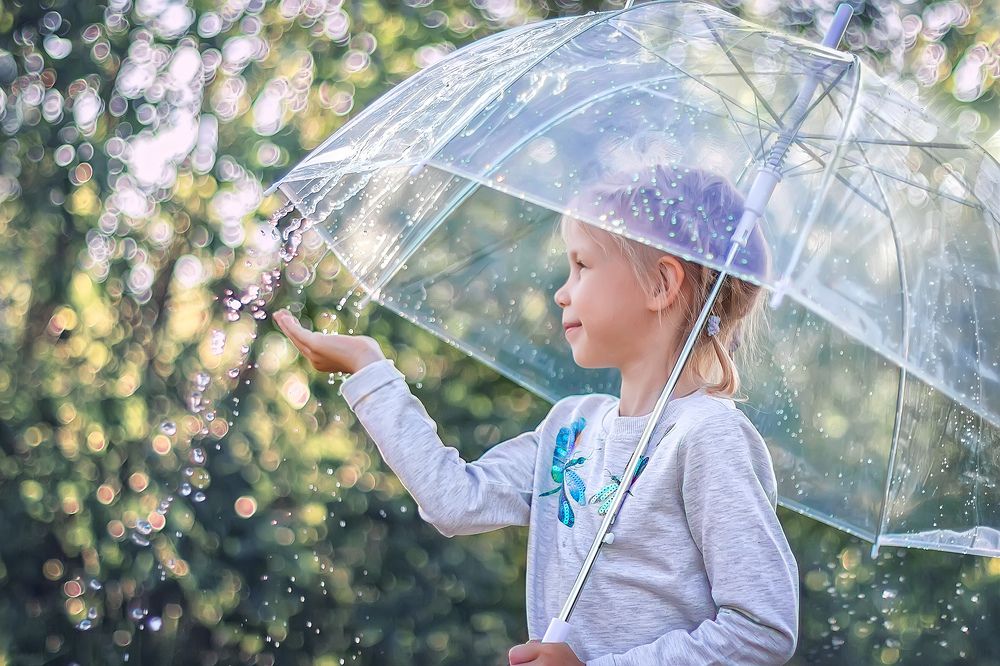 Летний дождь