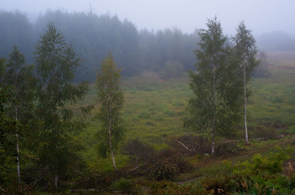 Здесь русский дух, здесь Русью пахнет...