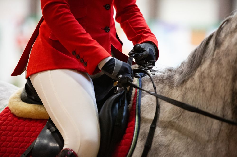 Showjumping competitions