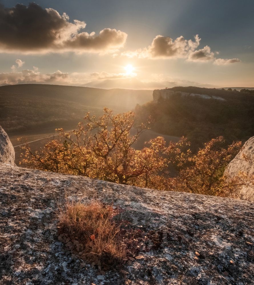 Photograph by Михаил Гапонов