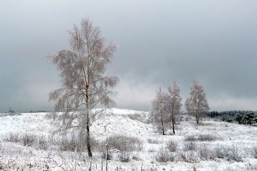 Зимний пейзаж.
