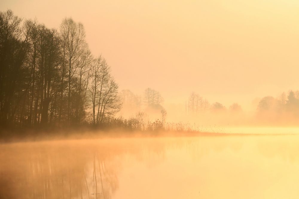 Туманное утро.