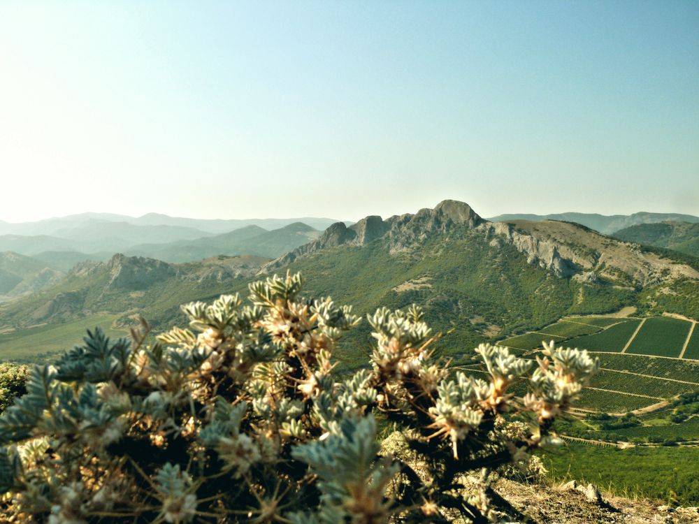 Таракташ — «каменный гребень» , Республика Крым, Россия.