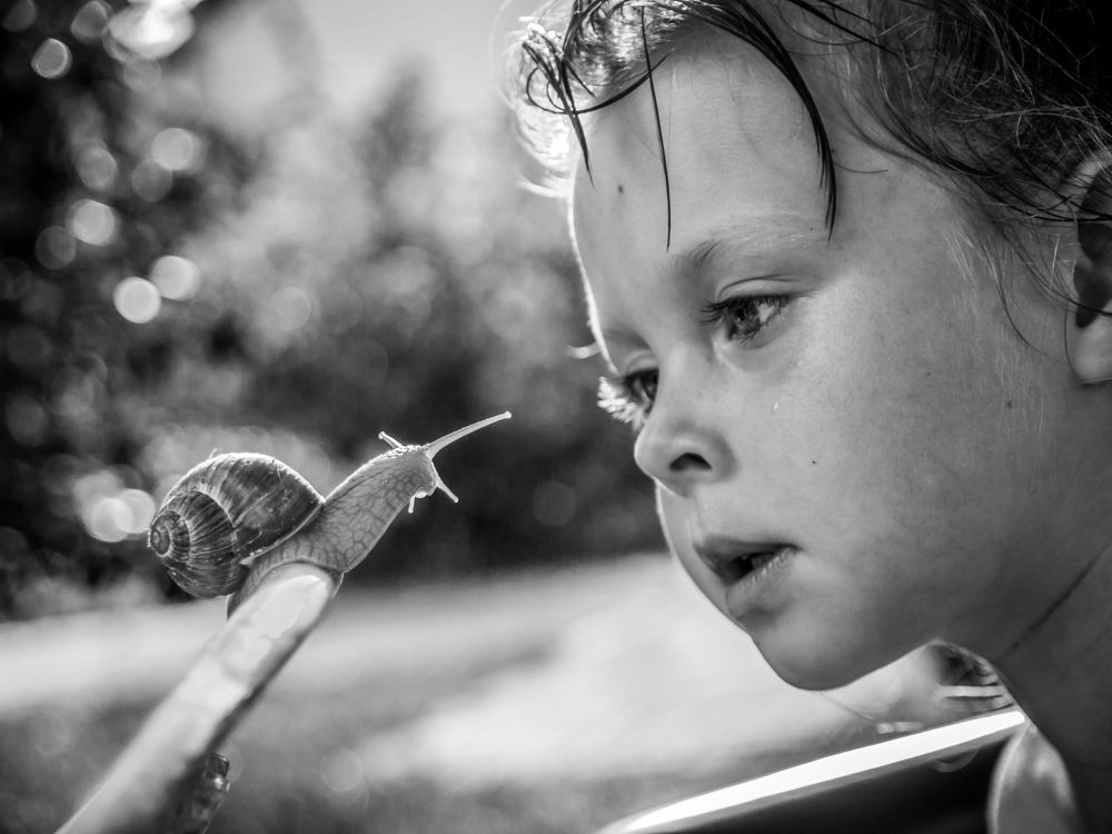 Глаза в глаза