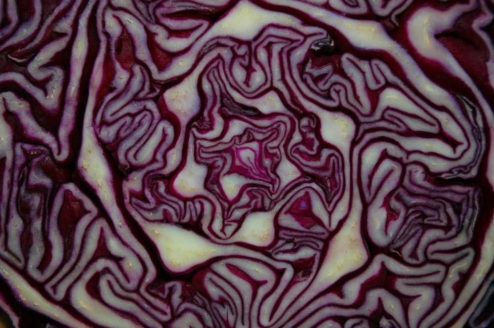 Photograph by Ирина Марченко