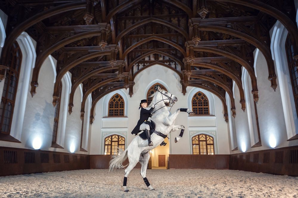 В стенах Императорского манежа