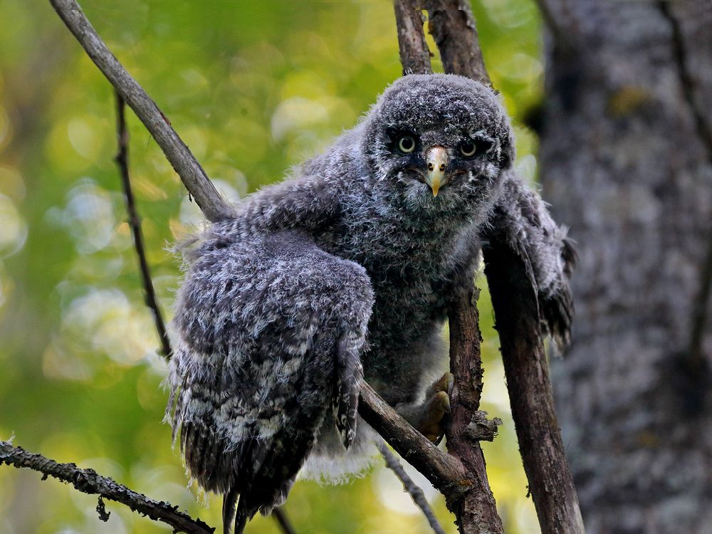Пять минут – полет нормальный