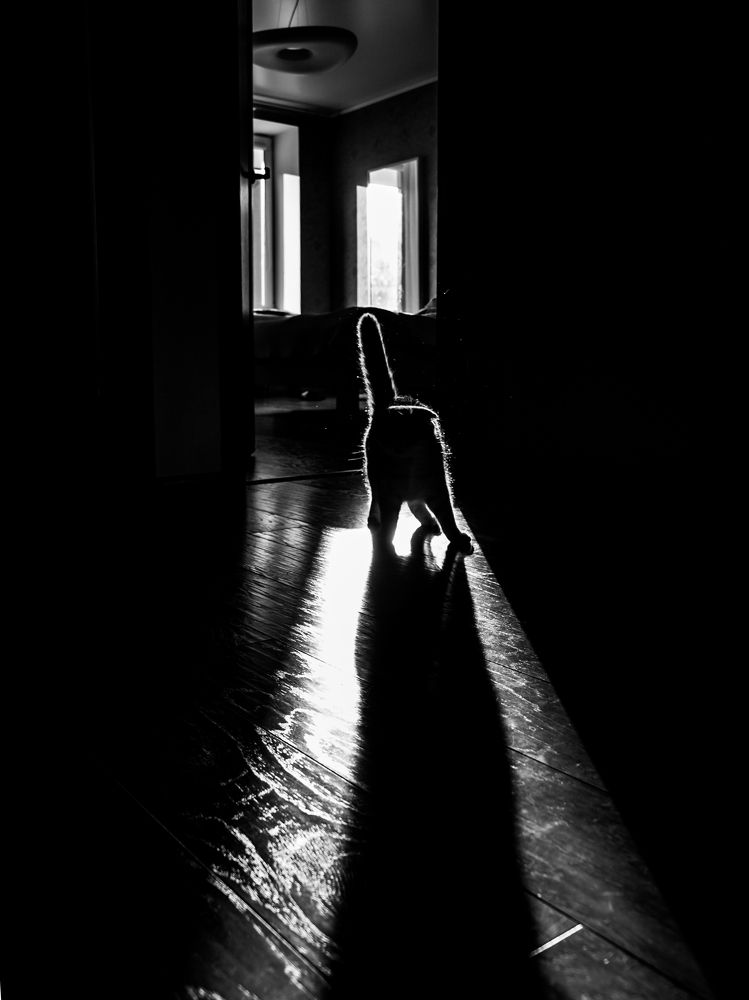 220 по контуру