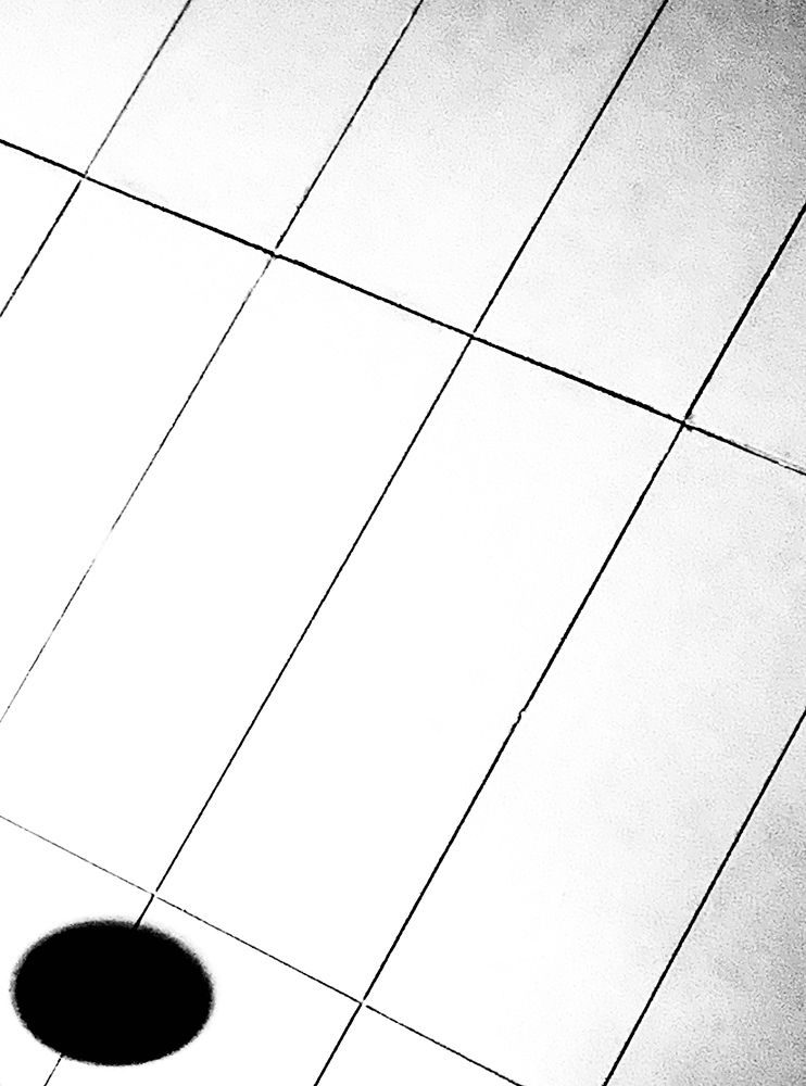 Субъективность