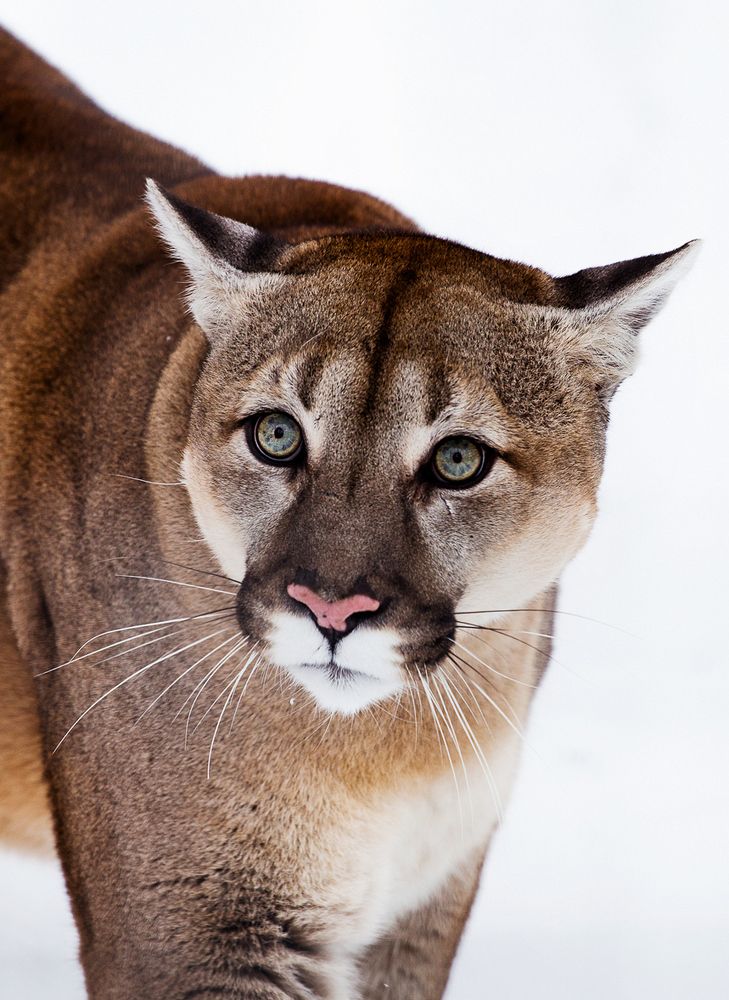 Одинокий взгляд