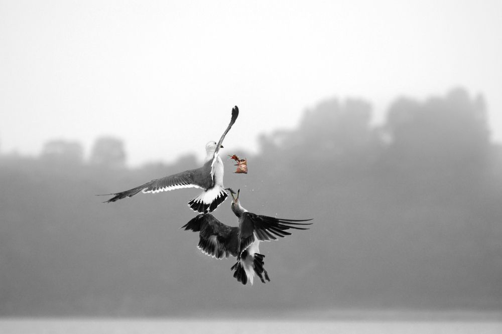 Воздушный бой