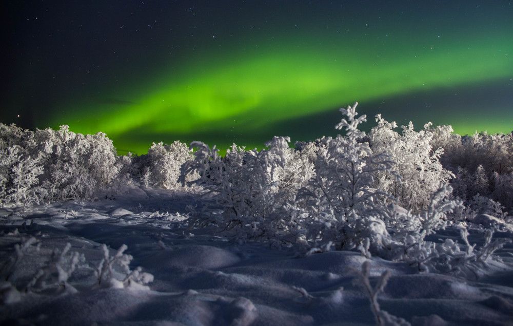 Зимняя сказка