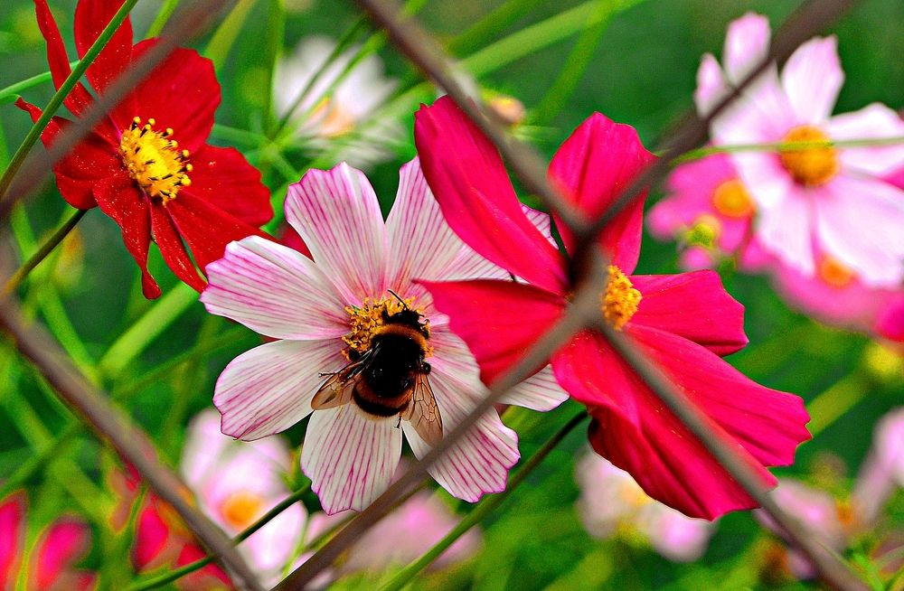 В мире прекрасного