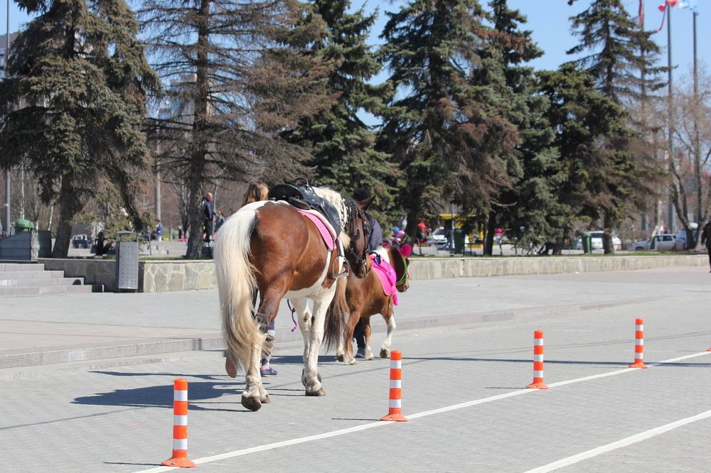 Поработали пора и отдохнуть.