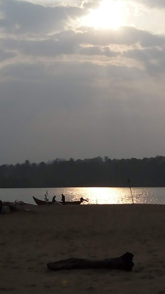 Scenic Evening