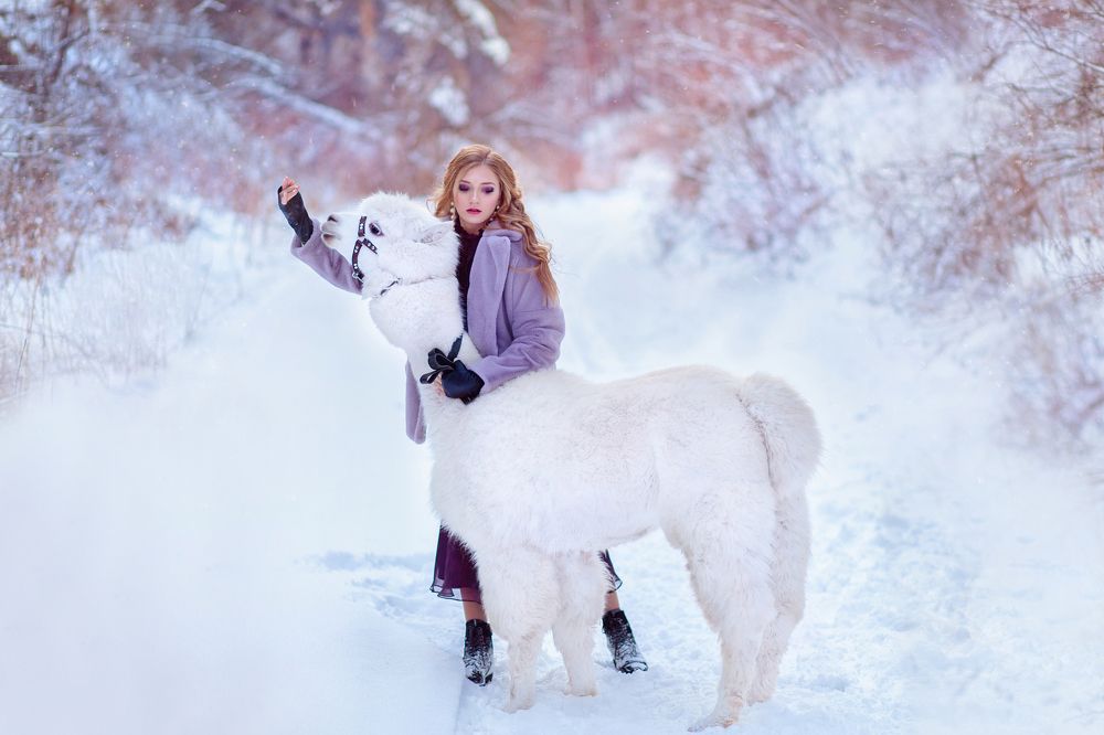 Photograph by Юлия Шайганова