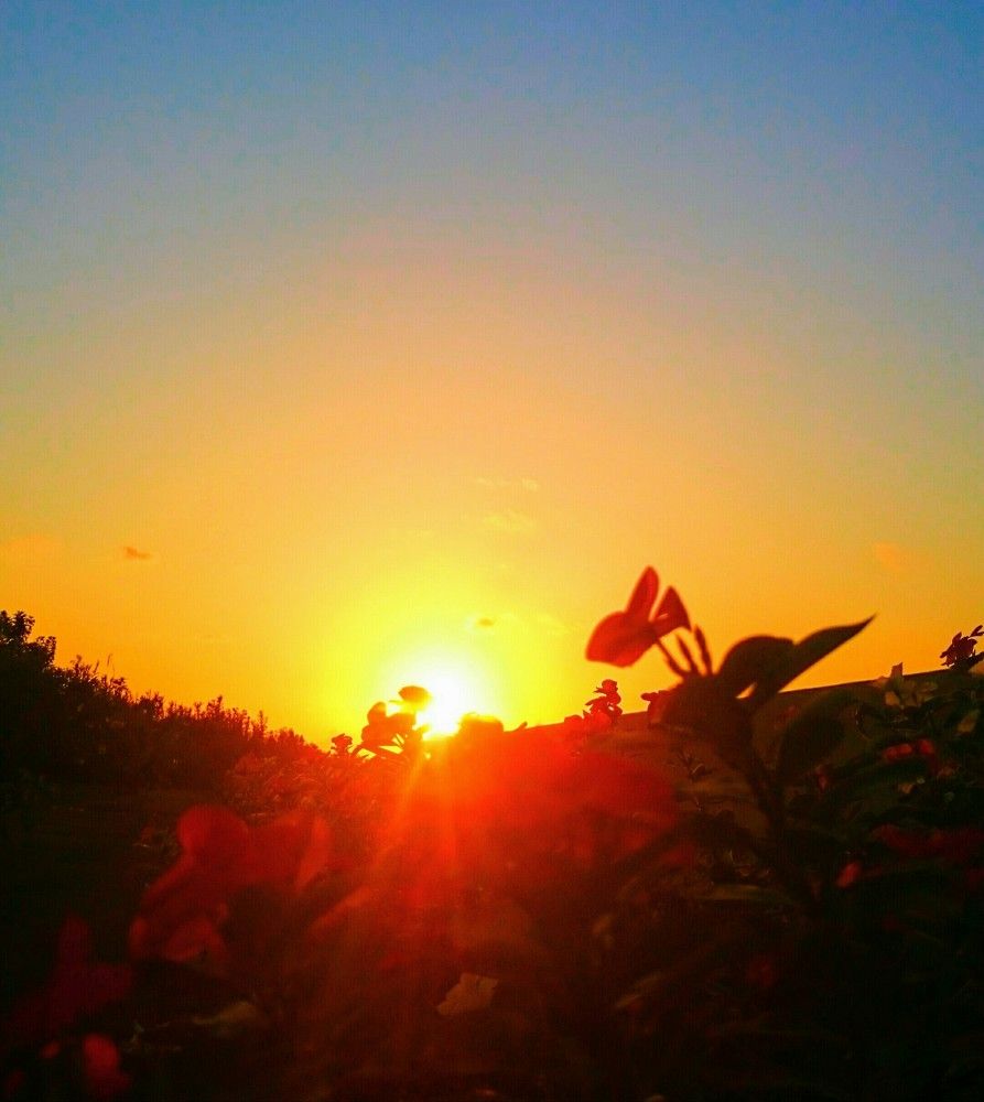 Photograph by Faisal Elaimary