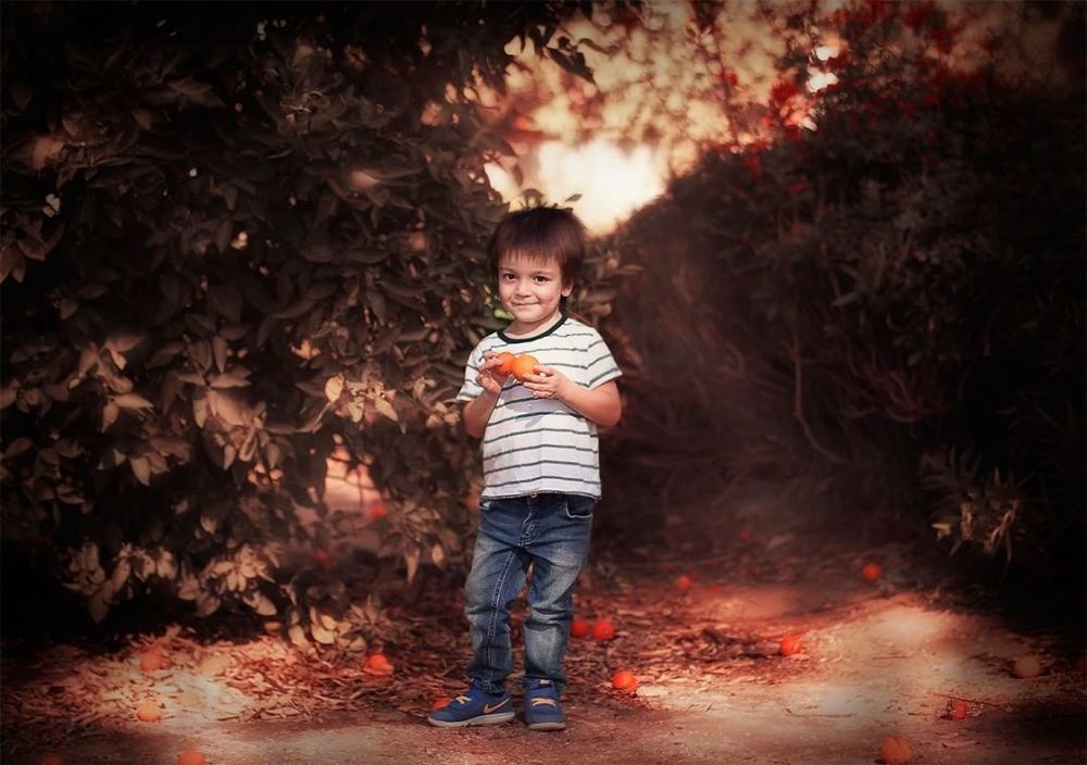 We like oranges)and you?)