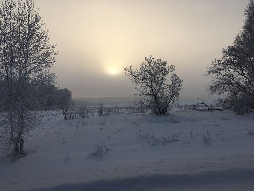 Pearly winter in Siberia