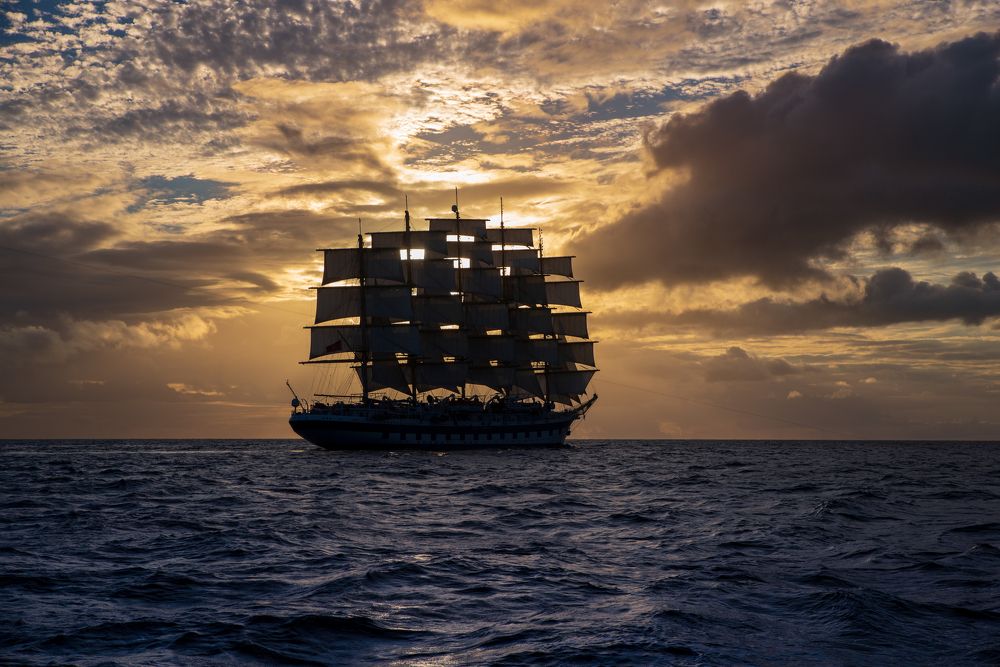 Royal Clipper