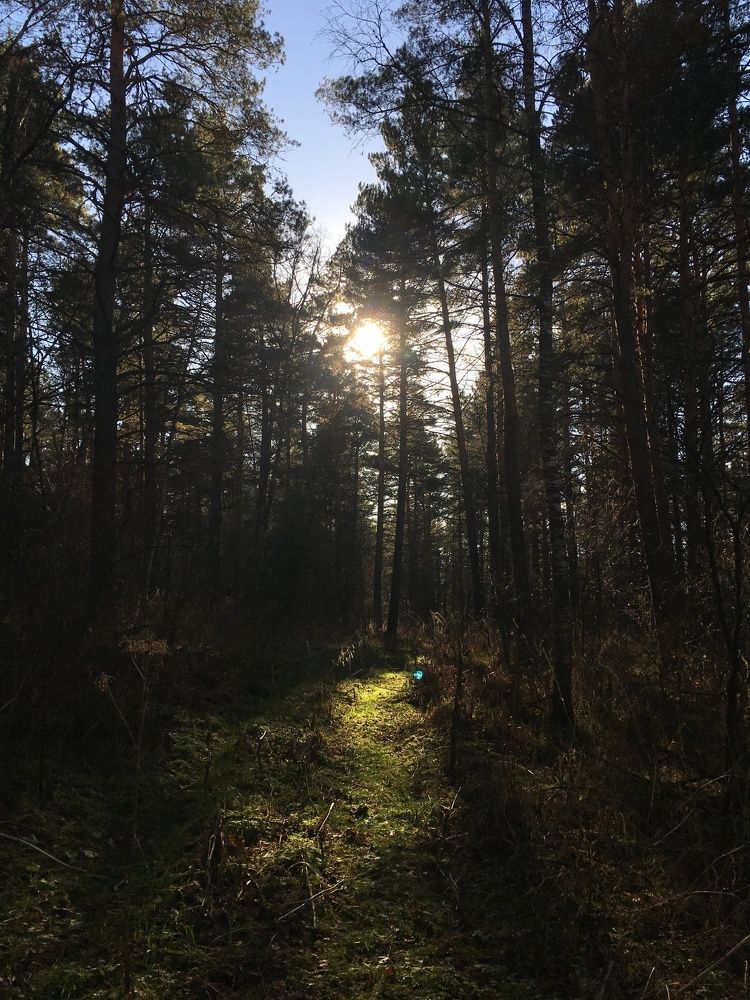 Late Siberian autumn of 2018