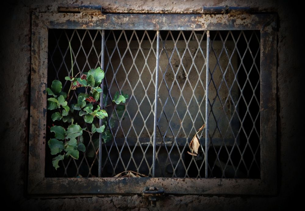 there is always the Way To Find The Freedom