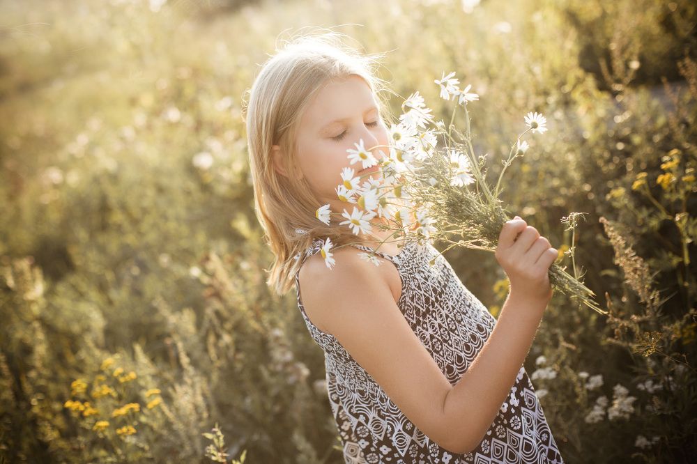 Мои Ромашки