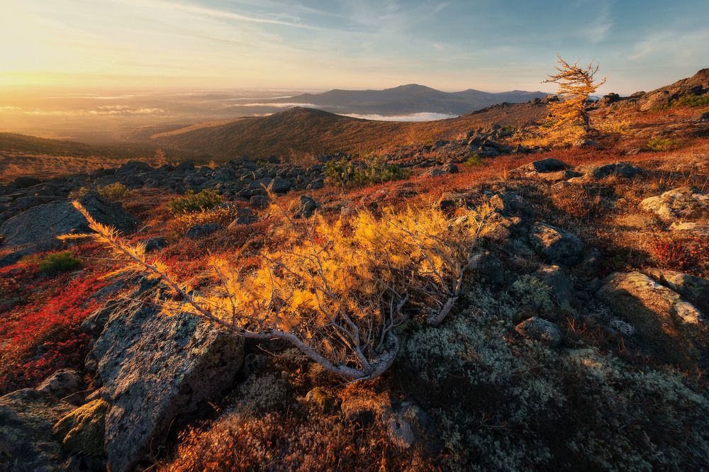 Солнцу навстречу