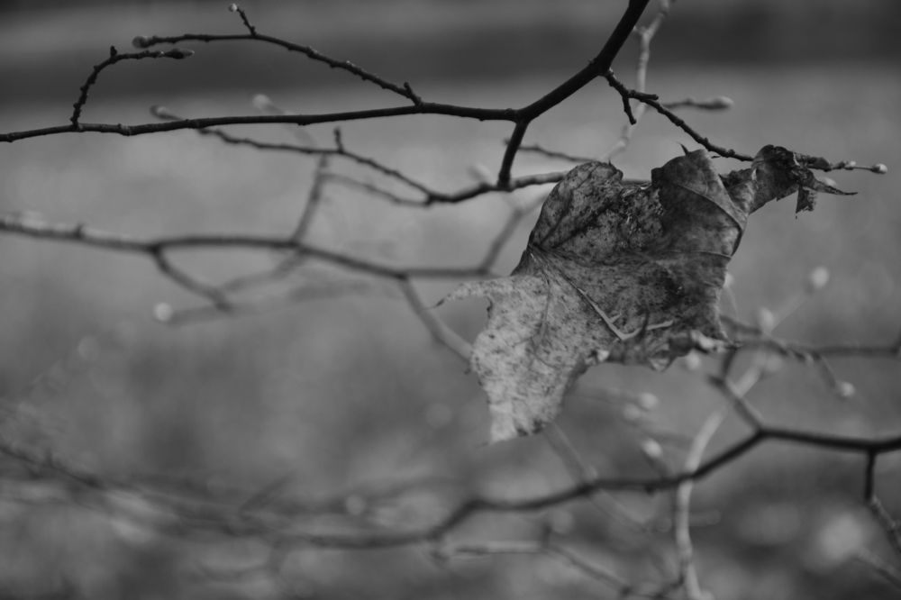 Желание жить