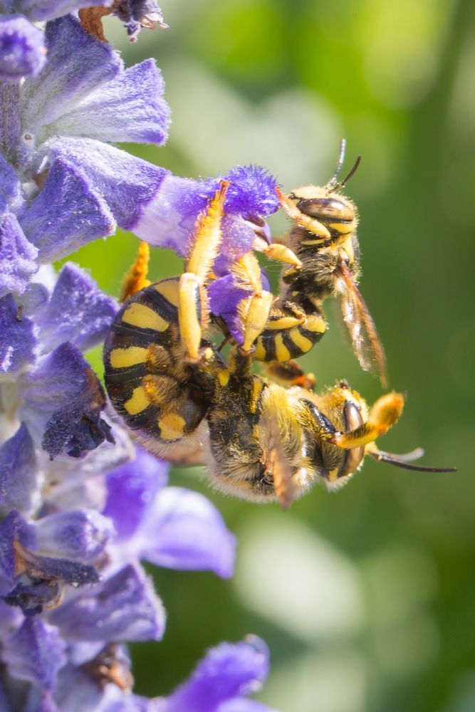 Держи меня, соломинка!