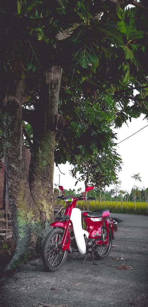 70s Indonesian Bike