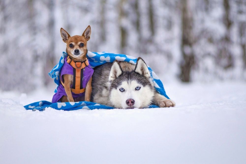Фотография автора Мария Яропольская