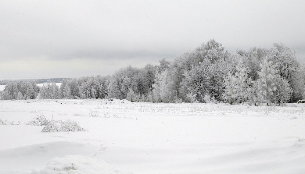 Зимний наряд